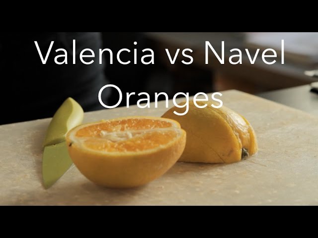 Valencia Oranges vs Navel Oranges: Citrus Showdown