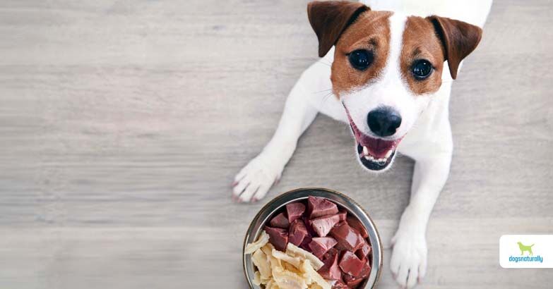 Chicken Liver to Dogs: Canine Nutrition Concerns