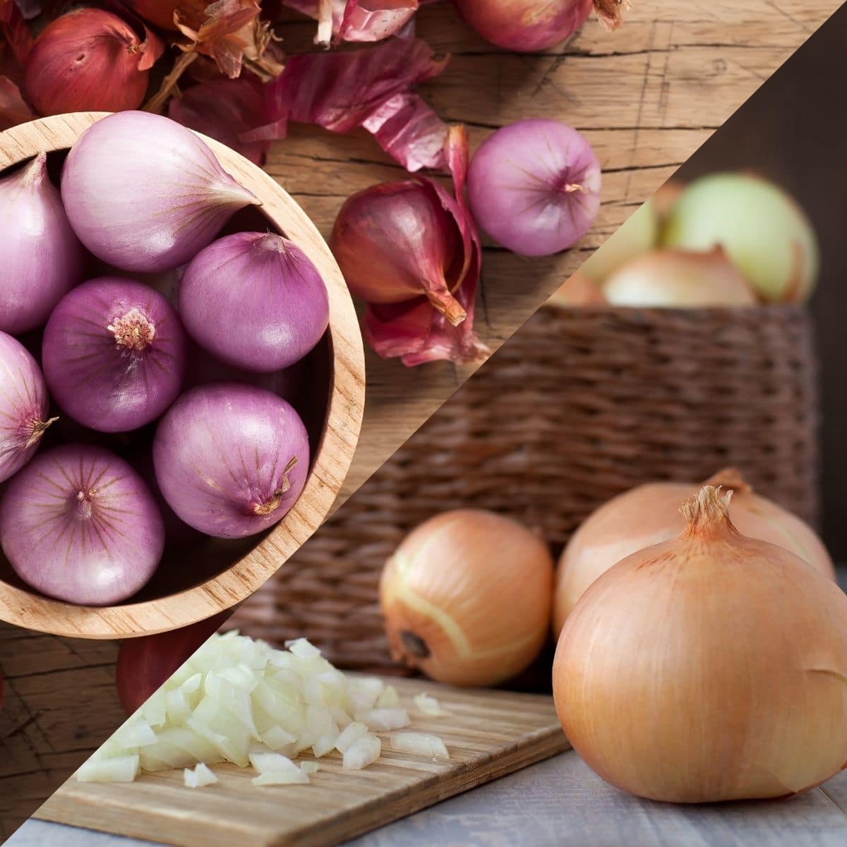 Garlic vs Shallots: Aromatic Bulbs Compared