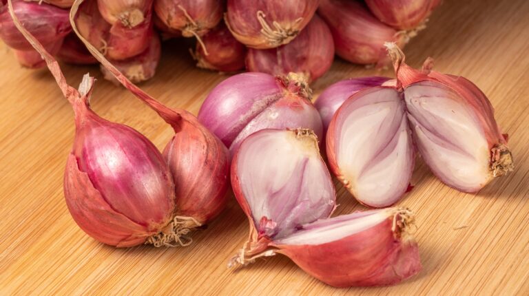 Garlic vs Shallots: Aromatic Bulbs Compared
