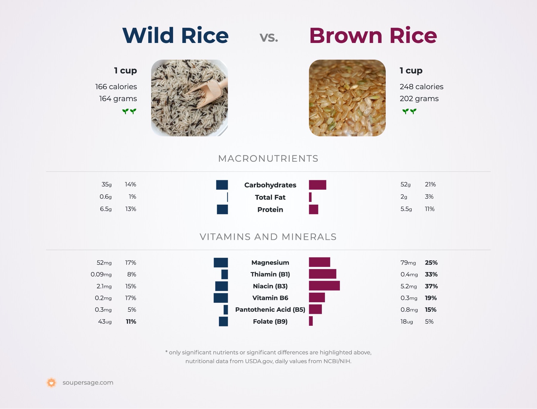 White Rice vs Wild Rice: Grainy Differences